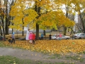 IMG_0345.JPG